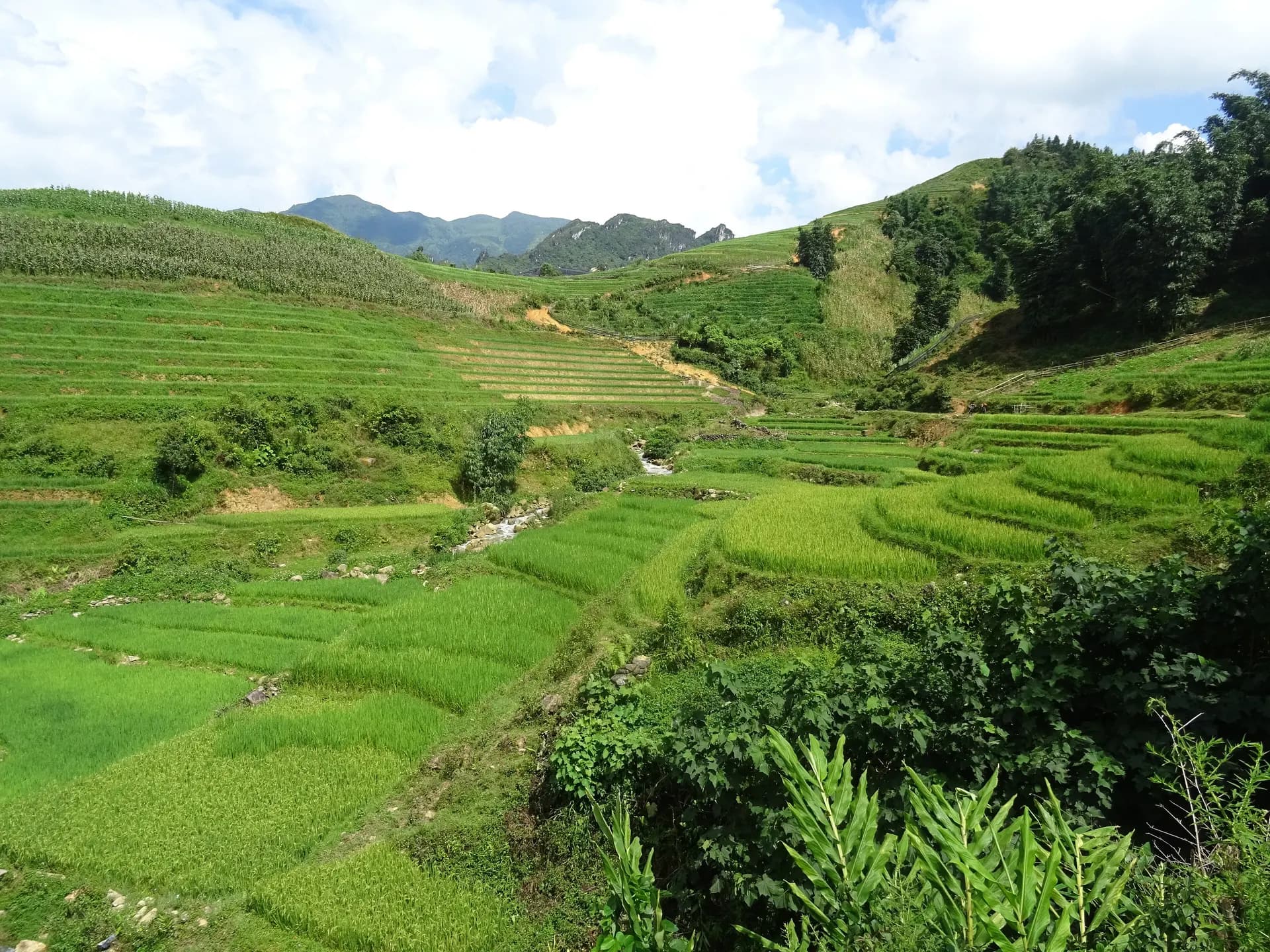 Preview: Sa Pa in winter: little rain, but a lot of fog and drizzle (Guides)